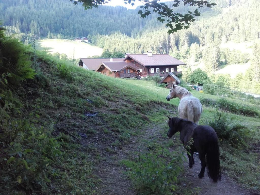 Appartamento Neudegghof Eben Im Pongau Esterno foto