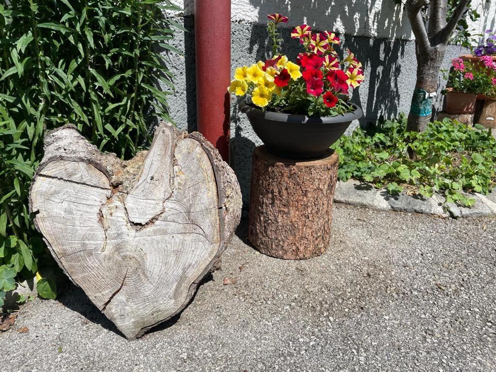 Appartamento Neudegghof Eben Im Pongau Esterno foto